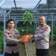 Kapolres Indragiri Hilir Bersama PJU Cek Bank Pohon dan Berikan Hadiah Pohon kepada Personel yang Berulang Tahun