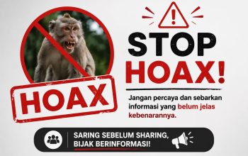Hadapi Gangguan Monyet Liar, Pemkab Inhil Ajak Masyarakat Utamakan Keselamatan dan Jangan Mudah Percaya Hoaks