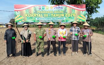 Polsek Tualang Bersama Forkopimcam Tanam Jagung Kuartal III, di Ponpes Abu Huroiroh. Dukung Swasembada Pangan 2026