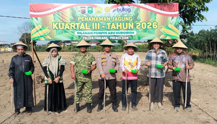 Polsek Tualang Bersama Forkopimcam Tanam Jagung Kuartal III, di Ponpes Abu Huroiroh. Dukung Swasembada Pangan 2026