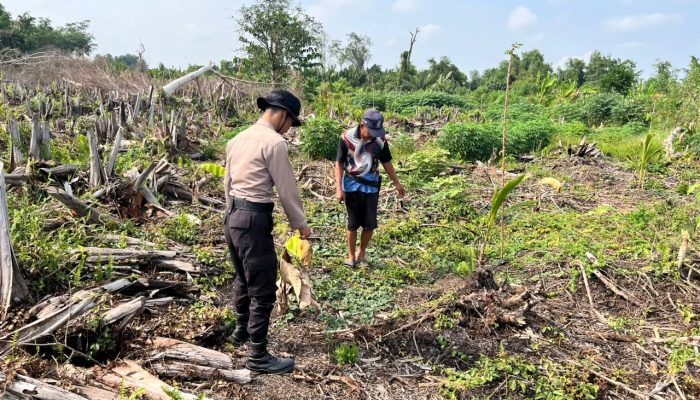 Dukung Program Asta Cita Ketahanan Pangan, Personel Polsek Kuindra Pantau Pertumbuhan Tanaman Jagung di Kelurahan Sapat
