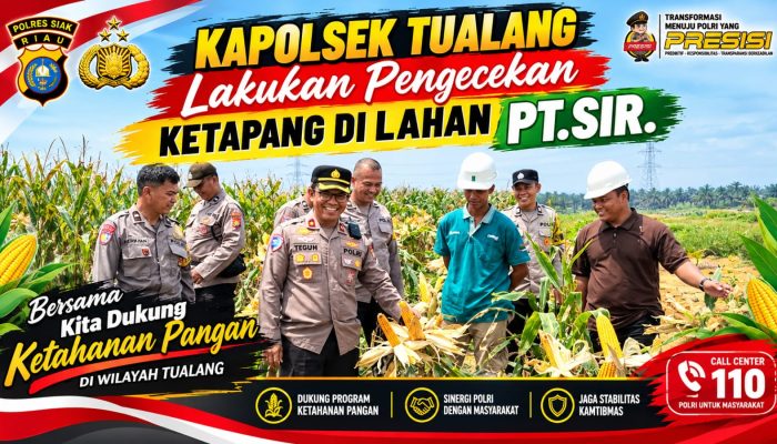Jelang Panen, Kapolsek Tualang Cek Kesiapan Ketahanan Pangan Jagung di Lahan PT SIR