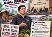 Aliansi Petani Kelapa Desak DPRD Inhil Gelar RDP, Cari Solusi Konkret bagi Petani