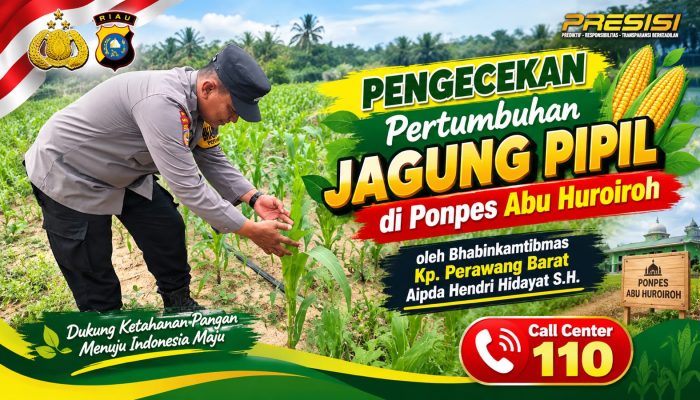 Pastikan Pertumbuhan Optimal, Bhabinkamtibmas Polsek Tualang Cek Tanaman Jagung Pipil Usia 30 Hari