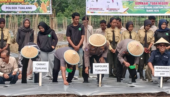 Perkuat Ketahanan Pangan, Kapolsek Tualang Bersama Stakeholder Tanam Jagung Kuartal III