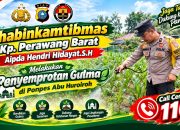 Terik Matahari Tak Jadi Halangan, Bhabinkamtibmas Gaspol Semprot Gulma Jagung Ketahanan Pangan