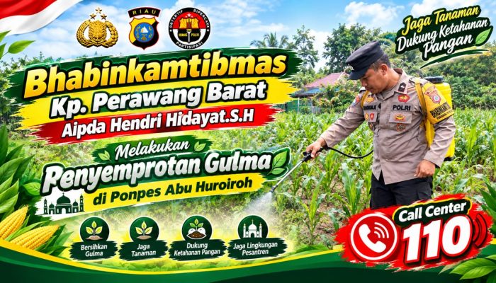 Terik Matahari Tak Jadi Halangan, Bhabinkamtibmas Gaspol Semprot Gulma Jagung Ketahanan Pangan