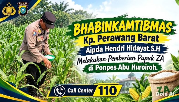 Jaga Kesuburan Ketapang Jagung, Bhabinkamtibmas Berikan Pupuk Di Lahan Ponpes Abu Huroiroh