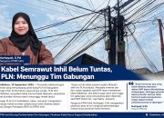 Kabel Semrawut Inhil Belum Tuntas, PLN: Menunggu Tim Gabungan