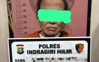 Satresnarkoba Polres Inhil Ungkap Dugaan Peredaran Sabu, Seorang Perempuan Diamankan