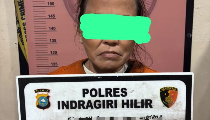 Satresnarkoba Polres Inhil Ungkap Dugaan Peredaran Sabu, Seorang Perempuan Diamankan