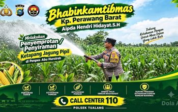 Polsek Tualang Perkuat Ketahanan Pangan melalui Perawatan Jagung Pipil