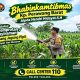 Polsek Tualang Perkuat Ketahanan Pangan melalui Perawatan Jagung Pipil