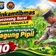 Usia 50 Hari, Jagung Pipil di Ponpes Abu Huroiroh Tumbuh Subur, Polsek Tualang Terus Kawal Ketahanan Pangan